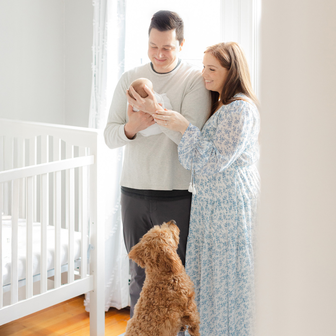 Parents smiling at their newborn in the nursery while their dog jumps up to join the moment during Boston newborn photos with dogs.